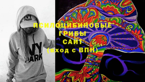 ALPHA PVP Киреевск