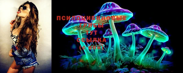 ГАЛЛЮЦИНОГЕННЫЕ ГРИБЫ Кинешма