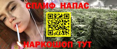 спайс Гагарин