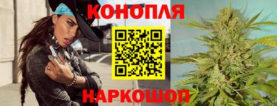 спайс Гагарин