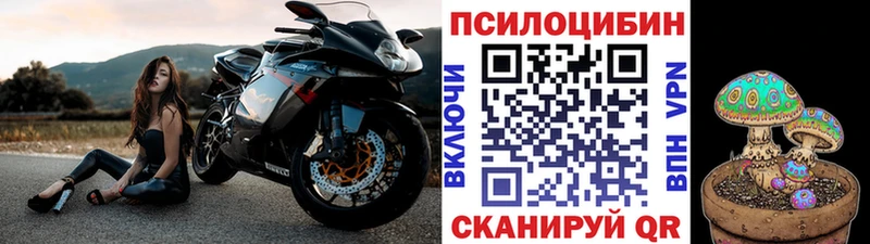 Галлюциногенные грибы Magic Shrooms  цены   Сафоново 