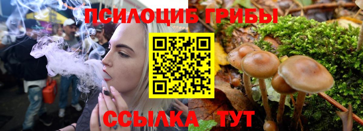 Галлюциногенные грибы Psilocybe  Вход с VPN  Псилоцибиновые грибы Psilocybine cubensis  Сафоново 
